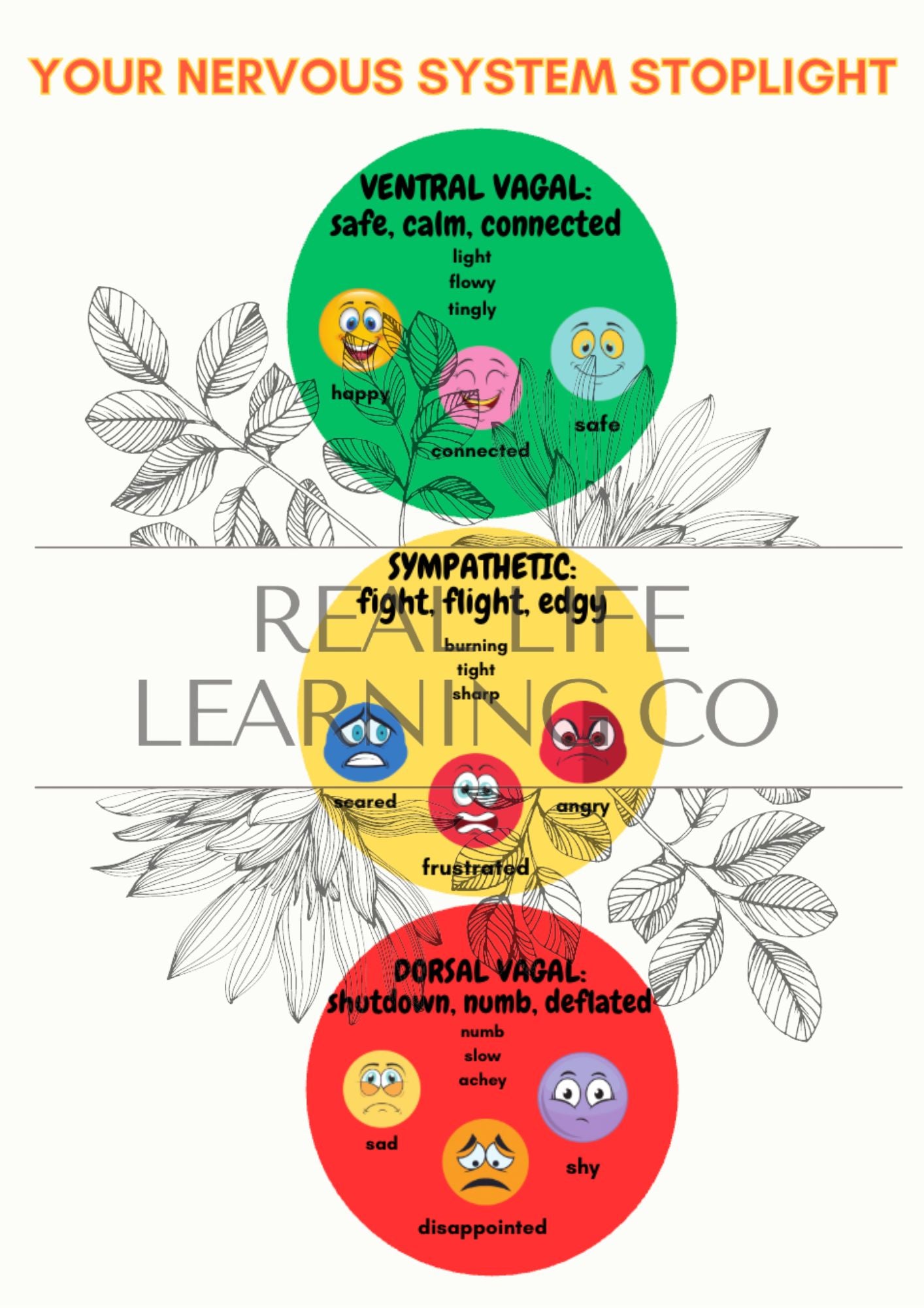 Little Kids My Daily Journal 2.0: A Daily Practice for Feelings & Writing